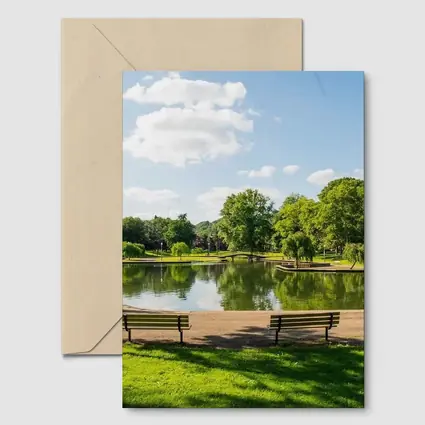Sunny Park Pond With Green Trees