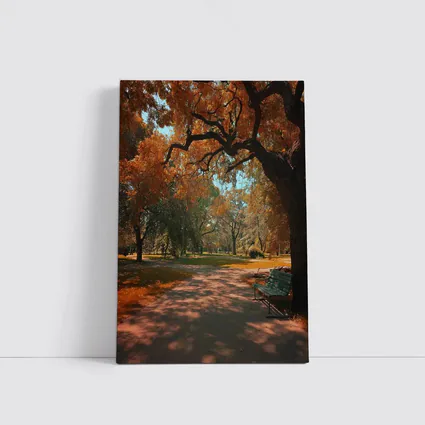 Autumn Park Path With Bench And Trees