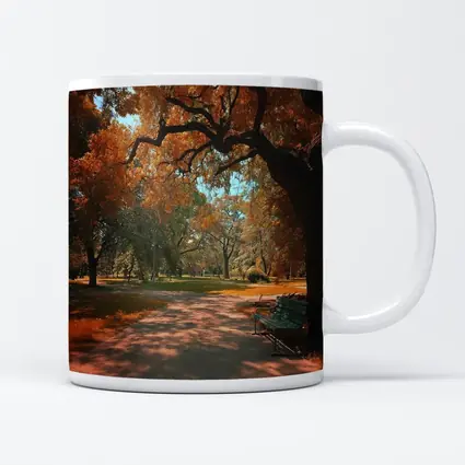 Autumn Park Path With Bench And Trees
