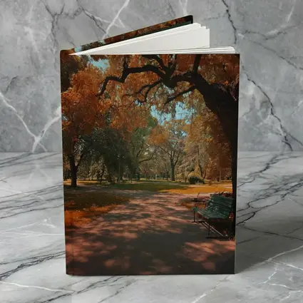 Autumn Park Path With Bench And Trees