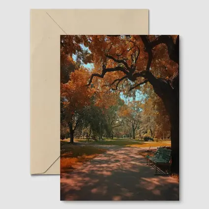 Autumn Park Path With Bench And Trees