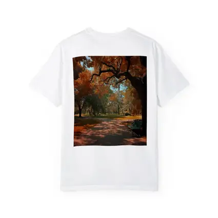 Autumn Park Path With Bench And Trees