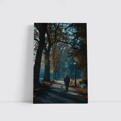 Man Walking Dog Autumn Park Alley