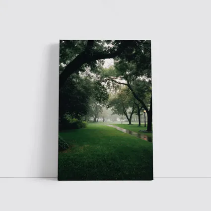 Rainy Park Path Through Green Trees