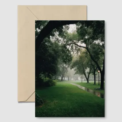Rainy Park Path Through Green Trees