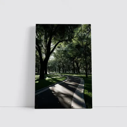 Shaded Park Path Through Tall Green Trees