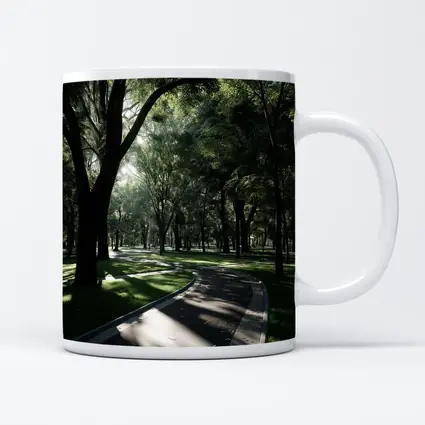Shaded Park Path Through Tall Green Trees