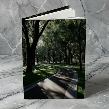 Shaded Park Path Through Tall Green Trees