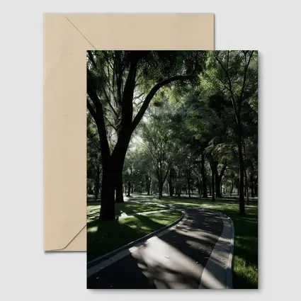 Shaded Park Path Through Tall Green Trees