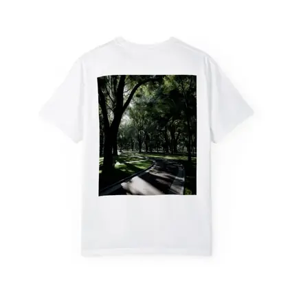 Shaded Park Path Through Tall Green Trees
