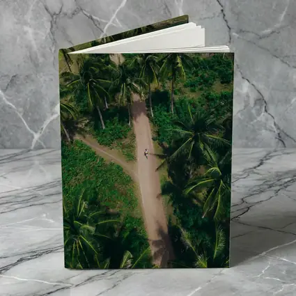 Aerial Palm Tree Path Tropical Forest