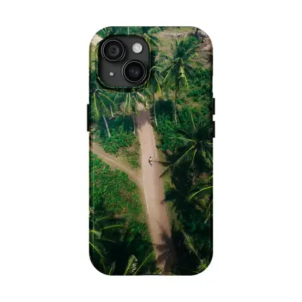 Aerial Palm Tree Path Tropical Forest