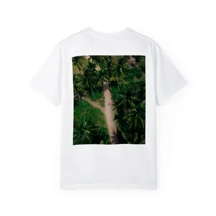 Aerial Palm Tree Path Tropical Forest