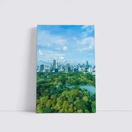 Bangkok City Skyline Above Lush Green Park