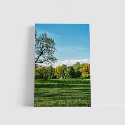 Green Park Meadow Blue Sky Trees