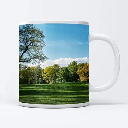 Green Park Meadow Blue Sky Trees