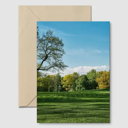 Green Park Meadow Blue Sky Trees