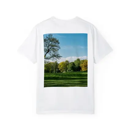 Green Park Meadow Blue Sky Trees
