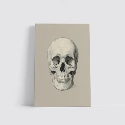 Human Skull Detailed Sketch Beige Background