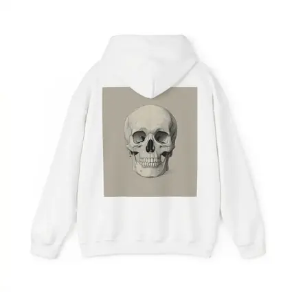 Human Skull Detailed Sketch Beige Background