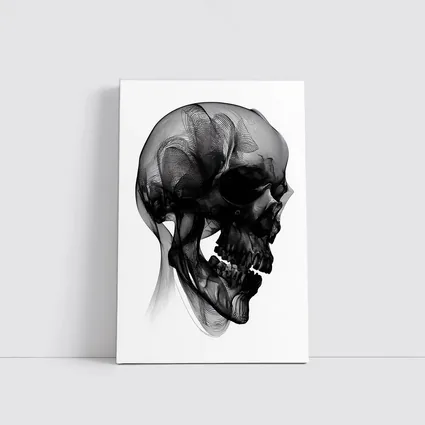 Black Mesh Wire Skull White Background Art