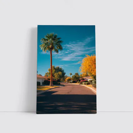 Palm Tree Suburban Street Blue Sky