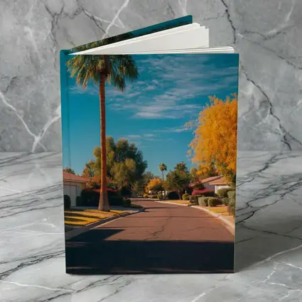 Palm Tree Suburban Street Blue Sky