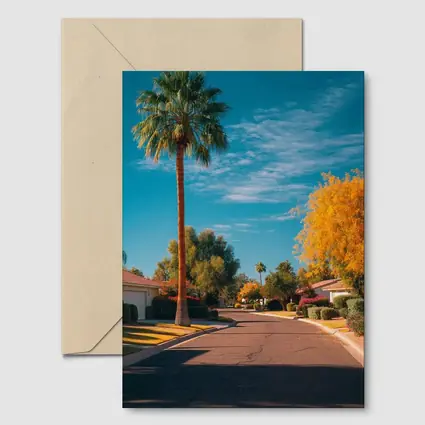Palm Tree Suburban Street Blue Sky
