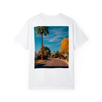 Palm Tree Suburban Street Blue Sky