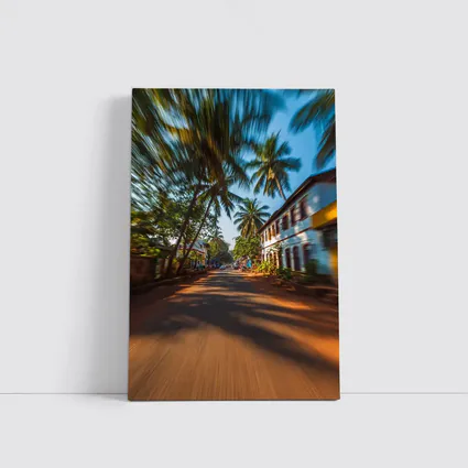Tropical Street Road Palm Trees India