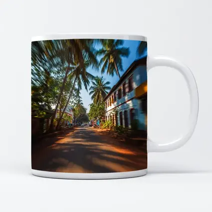 Tropical Street Road Palm Trees India