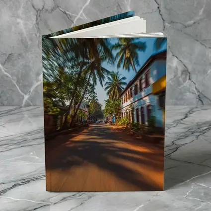 Tropical Street Road Palm Trees India