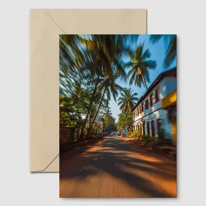 Tropical Street Road Palm Trees India