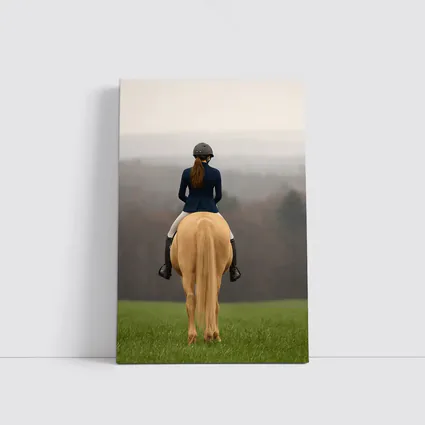 Equestrian Rider on Palomino Horse Green Field
