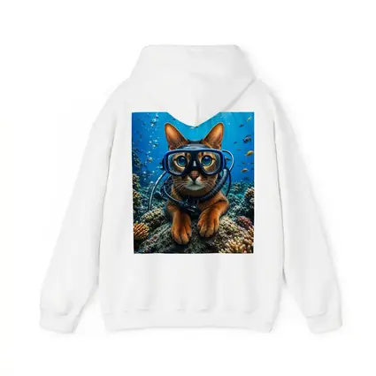 Abyssinian Cat Scuba Diver Underwater Coral Reef