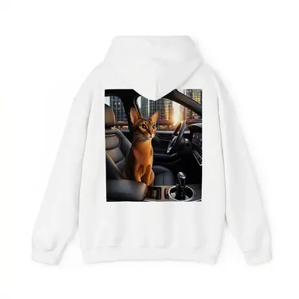 Abyssinian Cat Inside Modern Car City