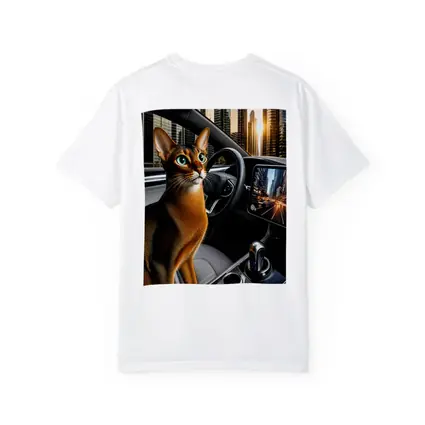 Abyssinian Cat Inside Modern Car City