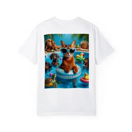 Abyssinian Cat Pool Party With Dachshunds