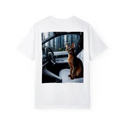 Abyssinian Cat Inside Modern Luxury Car
