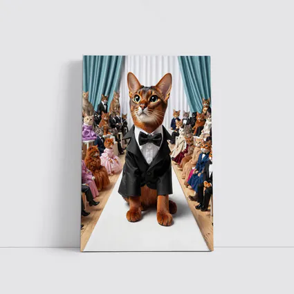 Abyssinian Cat Tuxedo Fashion Show Runway