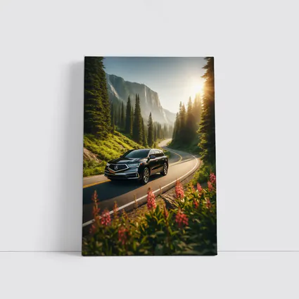 Acura MDX on Scenic Mountain Forest Road