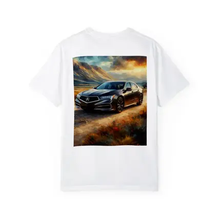 Acura RL Impressionism Style Desert Landscape
