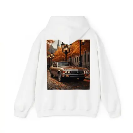 Acura TLX Classic Car Autumn Street Scene