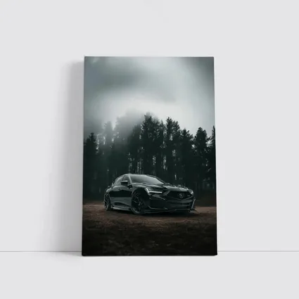 Acura TLX Black Sedan Foggy Forest