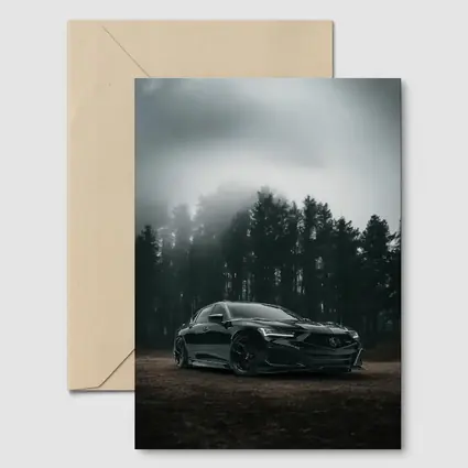 Acura TLX Black Sedan Foggy Forest