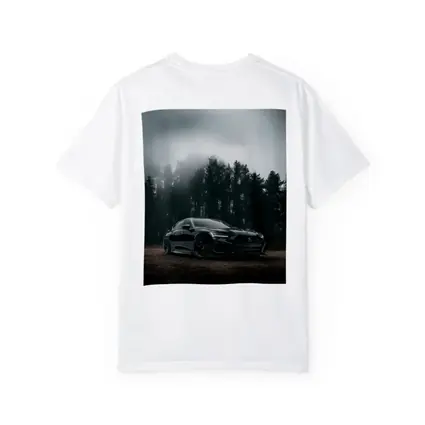 Acura TLX Black Sedan Foggy Forest