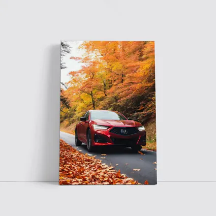 Acura TLX Red Sedan Autumn Forest Road