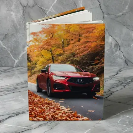 Acura TLX Red Sedan Autumn Forest Road