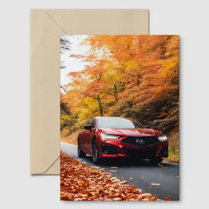 Acura TLX Red Sedan Autumn Forest Road