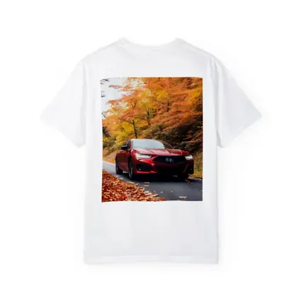 Acura TLX Red Sedan Autumn Forest Road